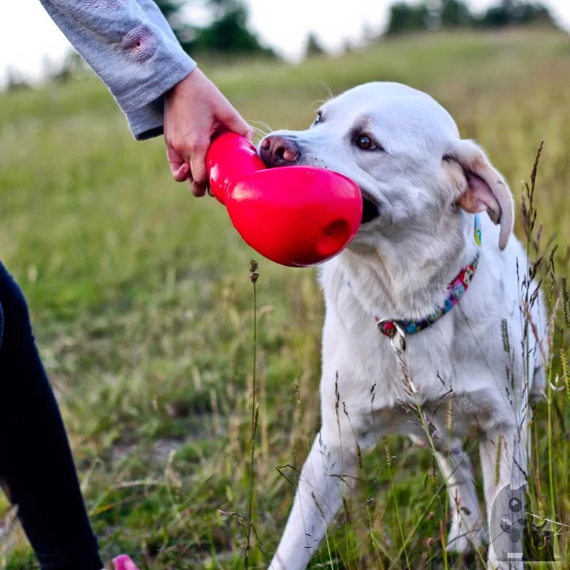 M-Size KONG Bounzer Dog Toy