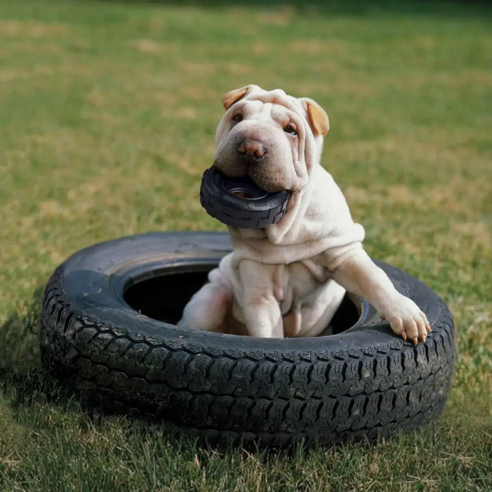 S-Size KONG Tires Dog Toy