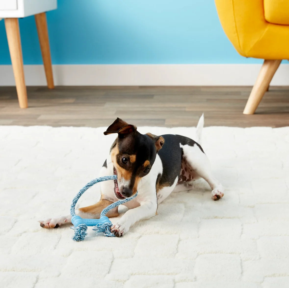 KONG - Puppy Goodie Bone with Rope - Teething Rubber, Teeth Cleaning Dog Toy - for X-Small Puppies