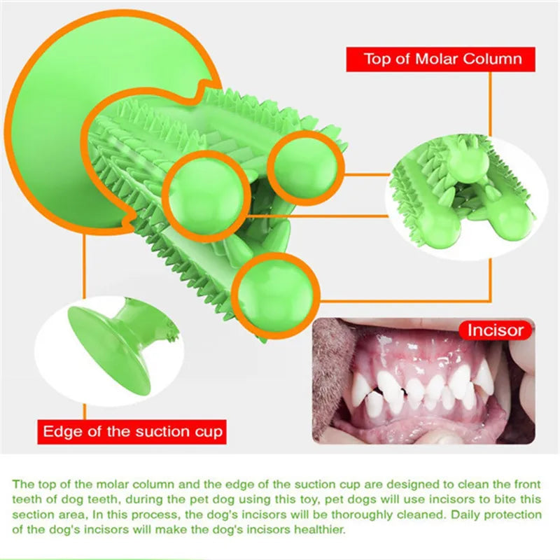 Interactive Kong Dog Toys Rubber Dog Toothbrush Puppy Chew Toys French Bulldog Teeth Cleaning Supplies Dog Accessories