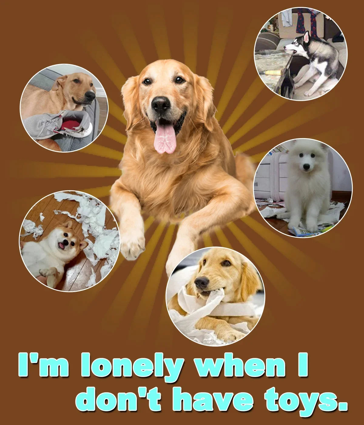 1pcs Dogs Teething Toy Pets Accessories Rubber Kong Small Dog Interactive Toy Puppy Toothbrush Bulldog Toys Cosas Para Perros